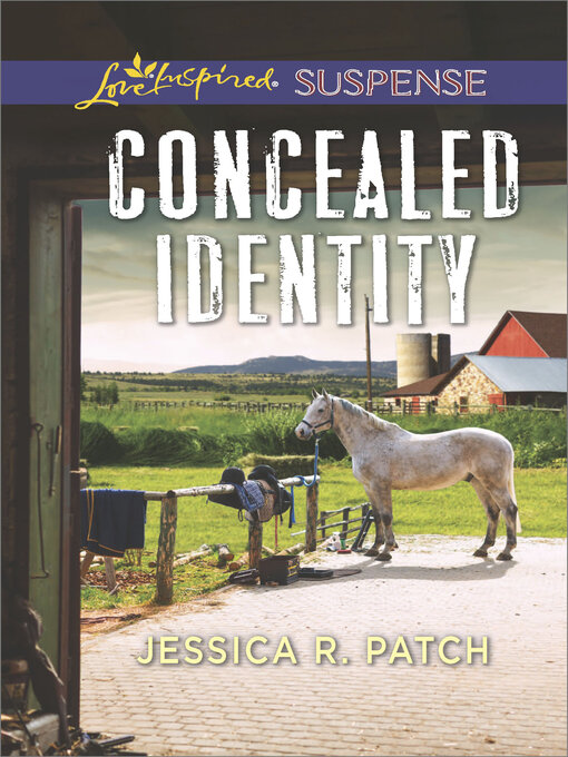 Cover image for Concealed Identity